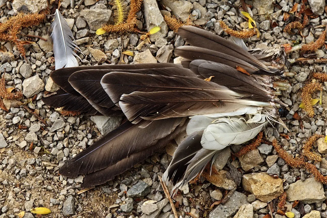 Fra køleskab til bord: Sådan reducerer du madspild med lækre resteretter